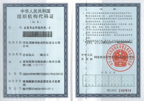 邵阳组织机构代码证