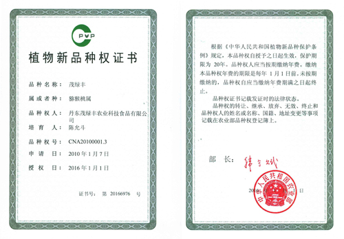 乐平植物新品种权证书